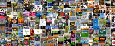 mdrs.com编辑精选专题频道缩略图，展示精心策划的主题合集封面